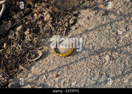 gold metal bottle cap in dirt Stock Photo