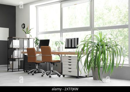 Interior of stylish office with workplaces, modern computers, houseplant and armchairs Stock Photo