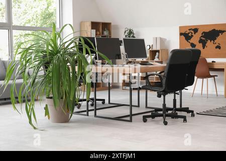 Interior of stylish office with workplaces, modern computers, houseplant and armchairs Stock Photo
