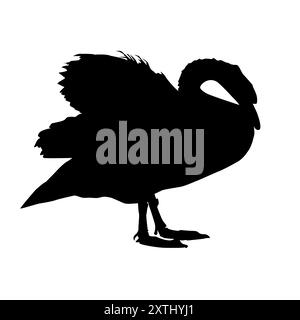 Swan silhouette. Lonely single waterfowl resting on lake shore.White swan mute stands on paws.Wildlife cygnus.Design for fauna, biology or ornithology Stock Vector