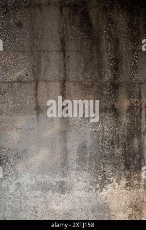 Front view of dirty, weathered and even wall. Abstract full frame textured grunge background with copy space. Stock Photo