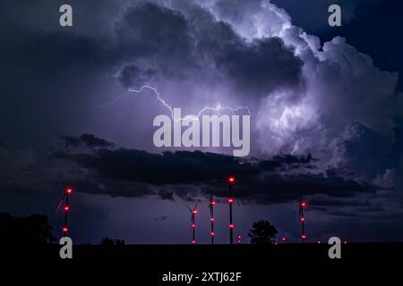 14.08.2024, GER, Unwetter / Gewitterzelle über Thüringen Impressionen der Gewitterzelle mit unzähligen Blitzen / Wetterleuchten Gemeinde Hörselberg-Hainich / W Bundesstraße / Feld / Wiese Thueringen Deutschland *** 14 08 2024, GER, thunderstorm thunderstorm cell over Thuringia Impressions of the thunderstorm cell with countless flashes of lightning weather lightning municipality Hörselberg Hainich W federal road field meadow Thuringia Germany Stock Photo