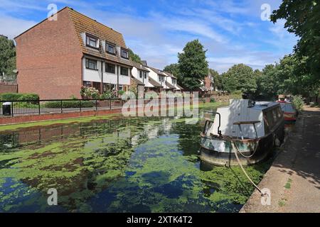 The Regents Canal near Mile End in East London north of Limehouse Basin. Shows moored houseboats and waterside housing on Union Drive. Stock Photo