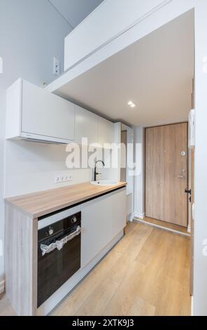 Scandinavian Style Tiny Modern Open Bright Minimalism Kitchen Home Interior. Oven, Faucet, and Furniture in Background. Dark Brown Flooring. Flower. W Stock Photo
