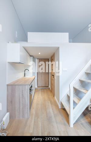 Scandinavian Style Tiny Modern Open Bright Minimalism Kitchen Home Interior. Oven, Faucet, and Furniture in Background. Dark Brown Flooring. Flower. W Stock Photo