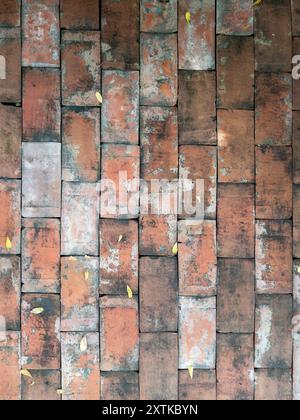 Closeup of the brick on the sidewalk of the small garden in the coffee shop, detail and texture from the weather, front view for the background. Stock Photo