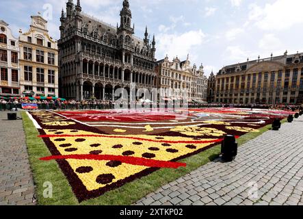 Brussels, Belgium. 15th Aug, 2024. Workers place the last few flowers at the completion of the installation of the The Brussels 2024 Flower Carpet ?in the Grand Place in Brussels, Belgium on Thursday, August 15, 2024. The Flower carpet has become a not-to-be-missed event in Brussels' cultural and tourist calendar. Photo by John Angelillo/UPI Credit: UPI/Alamy Live News Stock Photo