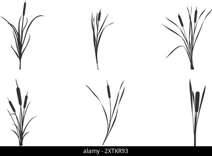 Cattail silhouette, Cattail plant silhouette, Reeds and cattail silhouette, Cattail plants vector, Cattail vector set. Stock Vector