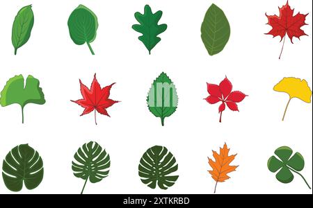 Leaf vector illustration, leaves vector illustration, Leaf vector,  leaf illustration, Fall leaf vector Stock Vector