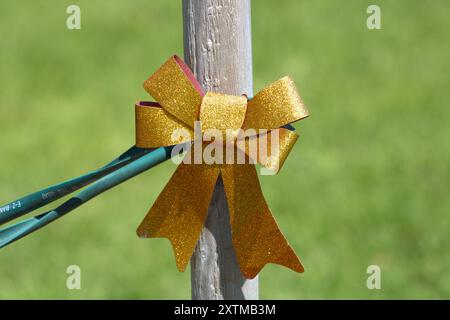 gold bow decoration tied on tree Stock Photo