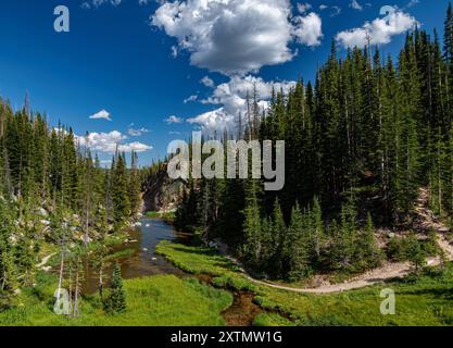 South French Creek flows out of Lake Marie in the Snowy Mountain Range in the Medicine Bow  National Forest, Albany County, Wyoming Stock Photo