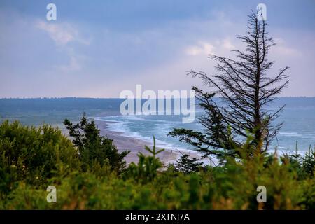 Scenic view along North Sea hiking trail at Svinklovene on Jutland's North Sea Coast, northern Denmark Stock Photo