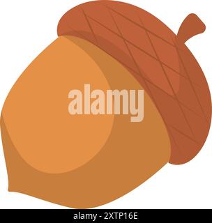 Simple Vector illustration of brown acorn on white background Stock ...