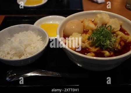 Japanese cuisine: spiced curry udon noodles in Tokyo, Japan Stock Photo