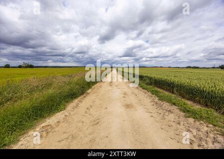Straight long dirt road through the fields Stock Photo