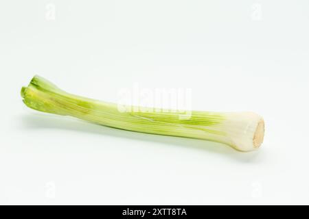 peeled green celery stalk on white background Stock Photo