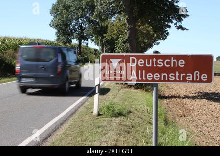 Blick am Dienstag 13.08.2024 unweit von Ziddorf Landkreis Rostock auf eine Deutsche Alleenstraße. Mecklenburg Vorpommern ist das Land der Alleen. Laut einer Pressemitteilung die der Bund für Umwelt und Naturschutz Deutschland BUND Landesverband Mecklenburg-Vorpommern e.V. im Jahr 2022 herausgegeben hat gibt es im Land etwa 4150 Kilometer Alleen und 10.400 Kilometer Baumreihen. Damit steht das Bundesland an zweiter Stelle hinter Brandenburg, das mit 4475 Kilometer Alleen u. 10.560 Kilometer Baumreihen das alleenreichste Bundesland ist. Dennoch ist ein schleichender Rückgang bei den Alleen zu ve Stock Photo