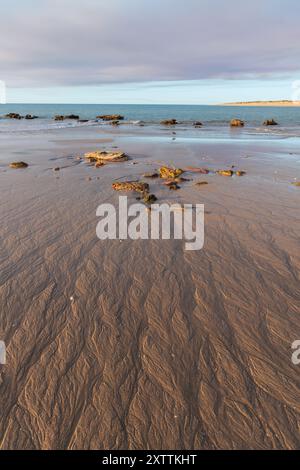 Receding sea water trickles over the sand, creating numerous channels of water in the sand. Stock Photo