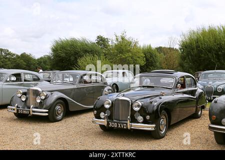 Jaguar mkv hi-res stock photography and images - Alamy