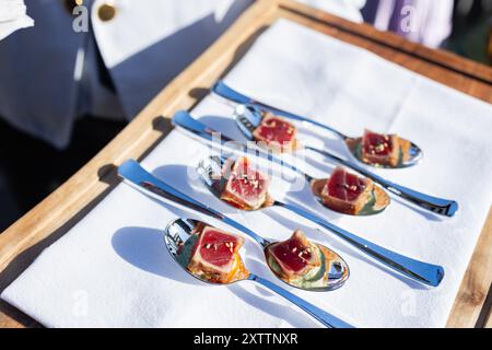 bite sized seared tuna served on individual spoons at event Stock Photo