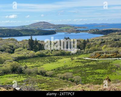 Lush green countryside in Ireland Stock Photo