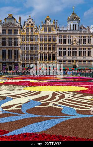 Brussels flower carpet with dahlia flowers on Grand Place, Belgium. Stock Photo