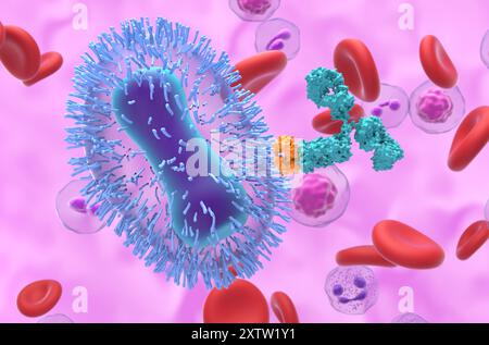 Monoclonal antibody therapy in Mpox (monkeypox) - closeup view 3d illustration Stock Photo