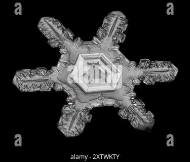 Close-up of a single snowflake with intricate patterns against a black background. Stock Photo