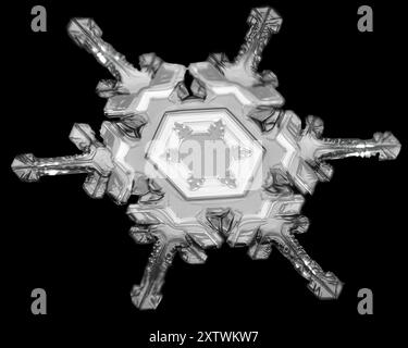 Close-up of a single snowflake displaying intricate patterns and symmetrical branches on a dark background. Stock Photo