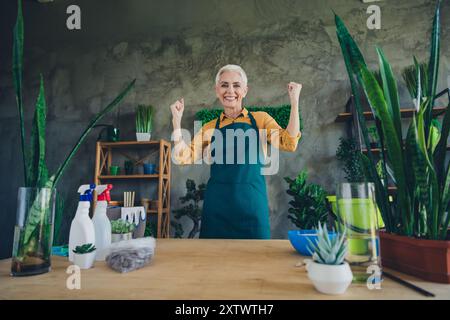 Photo of happy lucky elderly lady wear apron enjoying gardering rising fists indoors home workshop Stock Photo