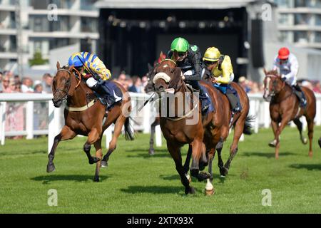 Newbury, UK, 16/08/2024, Woodstock ridden by Hector Crouch wins the 16:20 Christopher Smith Associates Llp Handicap at Newbury Racecourse, Newbury Picture by Paul Blake/Alamy Sports News Stock Photo