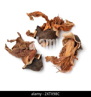 Heap of dried red cotton tree flowers close up isolated on white background Stock Photo