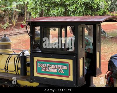 USA. 25th July, 2024. A close-up view of the Dole Plantation Pineapple Express Railroad train with greenery in the background, island of Oahu, Wahiawa, Hawaii, July 25, 2024. (Photo by Smith Collection/Gado/Sipa USA) Credit: Sipa USA/Alamy Live News Stock Photo