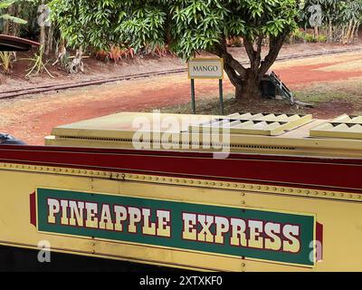 A close-up view of the Dole Plantation Pineapple Express Railroad train with greenery in the background, island of Oahu, Wahiawa, Hawaii, July 25, 2024. (Photo by Smith Collection/Gado/Sipa USA) Stock Photo