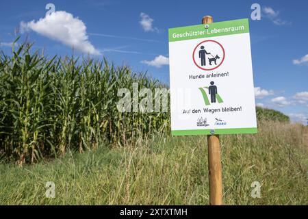 Sign for dog owners that they should stay on the paths and that dogs must be kept on a lead.NABU, animal welfare, fields, maize field, protected habit Stock Photo