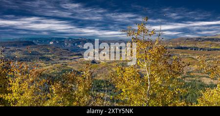 Changing Aspen - Southern Utah Mountains Stock Photo