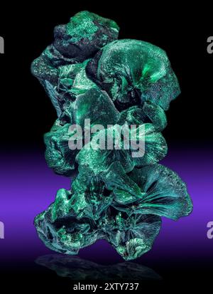 Malachite Fibrous Clusters, China Malachite is a copper carbonate hydroxide mineral. Stock Photo