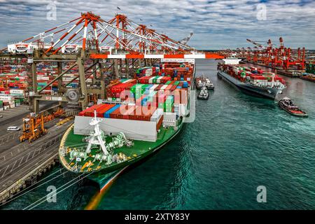 Super Post Panamax Container Ship Loading, Port of Elizabeth, Newark, New Jersey Stock Photo