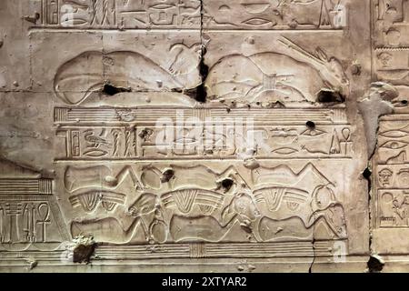 Temple of Abydos, temple of Seti I, inner sanctum, relief, west bank of Nile, Sohag(Suhag,Suhaj), Egypt, North Africa, Africa Stock Photo