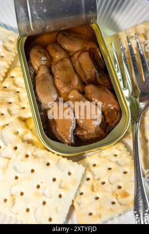 Close Up of Open Tin of Smoked Oysters and Saltine Crackers on  white Plate for Lunch, 2024, USA Stock Photo
