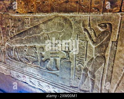 The Dendera lightbulb in the crypt depicting the egyptian creation myth ...