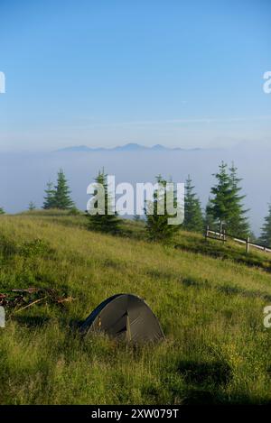 Lone tent on grassy hillside, surrounded by tall pine trees under clear blue sky. Wooden fence runs along ridge, while blanket of morning mist cloaks distant forested mountains. Stock Photo