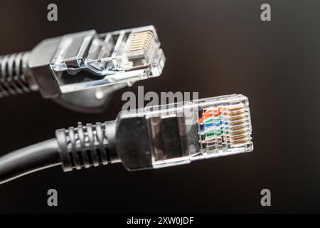 Two network Ethernet cables featuring clear connectors and detailed wiring. Perfect for illustrating internet connectivity, data transfer technology, Stock Photo