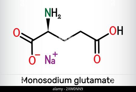 Monosodium glutamate, MSG, sodium glutamate molecule. It is flavor enhancer E621. Skeletal chemical formula Stock Vector