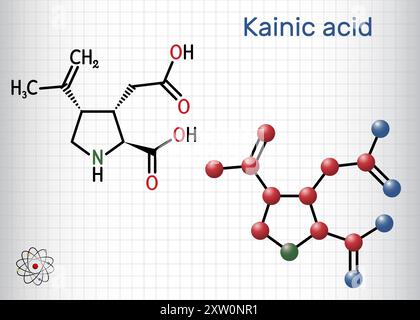 Kainic acid or kainate molecule. It is neuroexcitatory amino acid. Sheet of paper in a cage. Structural chemical formula, molecule model Stock Vector