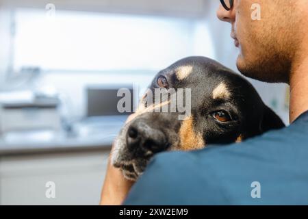 Man hugging sick dog. Selective focus on sad eyes of dog at veterinary clinic. Stock Photo