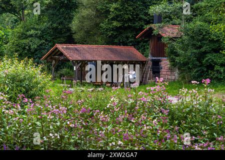 A view across a meadow of flowering Himalayan balsam onto the workshop grounds of the Monhardter Wasserstube near Altensteig, Baden-Württemberg, Germany: an open timber shed and the brick oven where raftsman Martin Spreng heats wooden rods to make "Wieden" (twisted wood ties). Rafting has been recognised as UNESCO intangible cultural heritage since 2022. Stock Photo