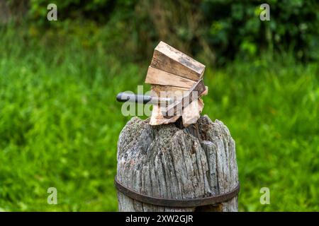 A hatchet, draped with curled wood shavings, is wedged into a gnarled tree stump at the Monhardter Wasserstube near Altensteig, Baden-Württemberg, Germany. Raftsmen used such tools to work the "Wieden" – twisted, flexible wood strands used to bind logs into rafts. Rafting has been recognised as UNESCO intangible cultural heritage since 2022. Stock Photo