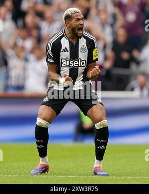 Newcastle United's Joelinton celebrates following the Premier