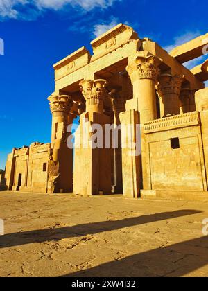 Sunlit view of the greco-roman style floral columns at the double entrance to  the Temple of Sobek and Haroeris built in 2nd century BC by Ptolemy pharoahs in Kom Ombo,Near Aswan,Egypt Stock Photo